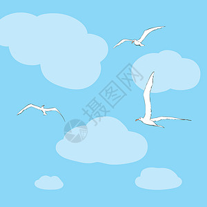 海鸥在天空中飞升高度海滩艺术插图白色自由漫画海洋翅膀动物图片