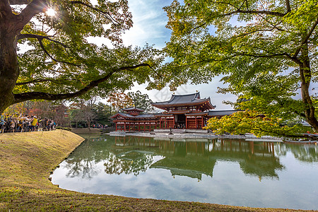 Byodo in 寺庙树木神社游客叶子遗产地标建筑学旅行池塘季节图片