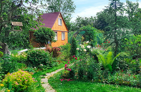 绿色花园背景的暑期木屋图片
