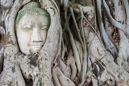 沙石佛祖之首砂岩雕塑佛教徒精神石头雕像地标文化废墟旅行图片