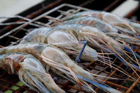 烧烤炉上的虾子贝类美食派对红色海洋烹饪木炭食物营养火焰图片