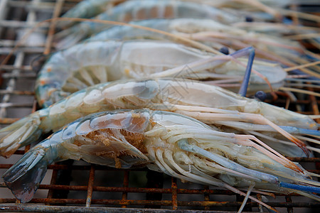 烧烤炉上的虾子派对美食熏制烹饪小吃对虾红色营养海洋食物图片