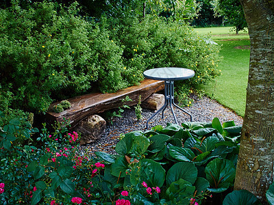 花园中美丽的木板椅公园叶子季节绿化木头植物学娱乐植物群环境长椅图片