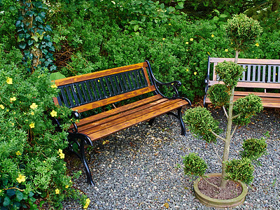 花园中美丽的木板椅长椅植物娱乐环境植物群季节闲暇院子园林叶子图片