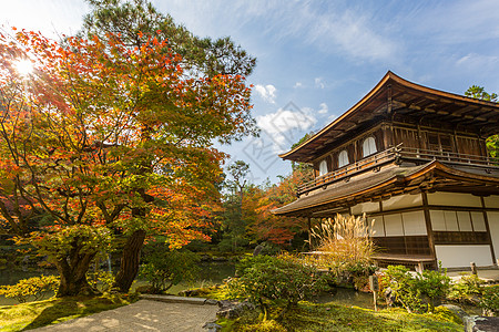京都银角寺庙地标佛教徒池塘森林宗教植被历史寺庙光洋天空图片