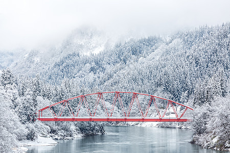 红桥冬季风景季节公园森林古董气候降雪天气框架旅行环境图片