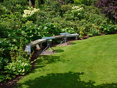 花园中美丽的木板椅植物园艺季节植物群后院长椅木头环境闲暇植物学图片