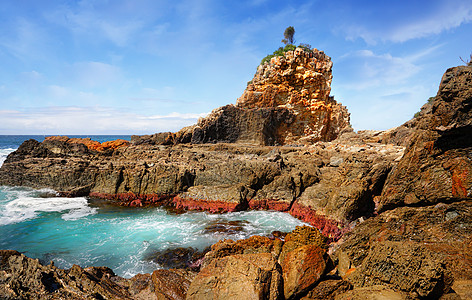 澳大利亚  一棵树岩  组织自然旅行海洋晴天扦插风景一棵树环境探索岩石背景