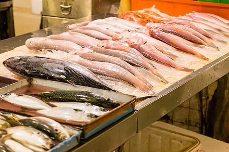 鱼类市场上的类鱼商业健康钓鱼红色销售店铺零售海鲜饮食食物图片
