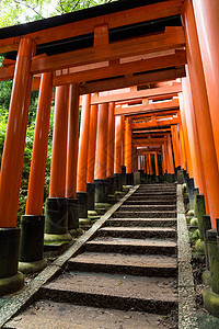 京都的神社图片