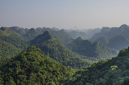 越南Cat Ba国家公园的全景树木旅行薄雾风景日光叶子国家爬坡丛林植物群图片