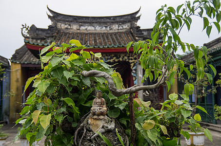 在霍安古老的古代古塔寺院中的佛像小雕像图片