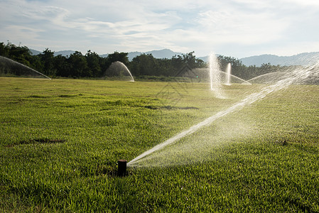 花园里的浇水植物园艺草地洒水器绿色灌溉淋浴生长院子图片