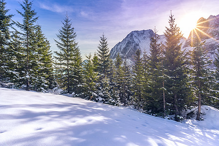 高山雪景处的太阳光线图片