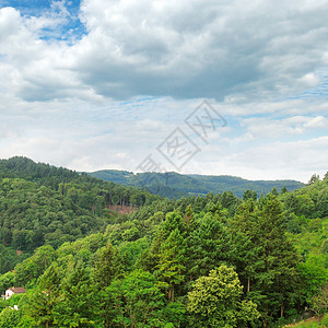 森林覆盖的山岳爬坡天空旅游环境松树晴天场景旅行蓝色高地图片