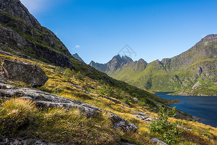 夏季风景多姿多彩 挪威山峰尖锐国家农村假期旅游土地石头农场森林公园全景图片