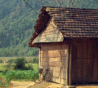 农村旧木制房屋和自行车乡村丛林国家园林绿色旅行绿化房子村庄场景图片