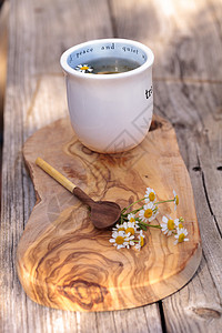 甘菊茶和香菊菊花茶杯咽喉草本植物杯子雏菊植物图片