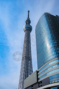 东京天空树晴天观光地标景点城市旅游旅行建筑街道蓝天图片