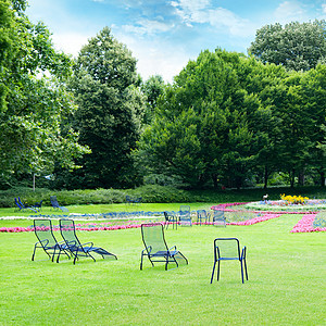 暑假公园休息椅放轻松的椅子风景日光场地蓝色植物座位公园森林木头季节图片