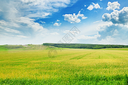 山地地形和蓝天空农村草地晴天牧场地平线木头草原土地阳光蓝色图片