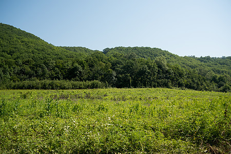 通向山地的道路 穿过田野绿荫林的森林 Y 我爬坡蓝色草地天空叶子太阳植物国家旅行农场图片