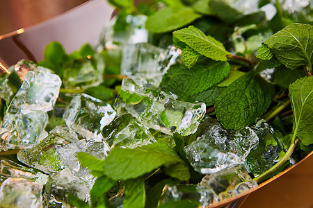 冰块和鲜薄荷叶子玻璃树叶草本植物水果蓝色植物柠檬立方体水晶图片