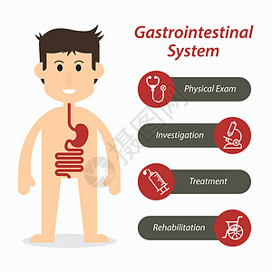 肠胃系统和医用线条图标图片