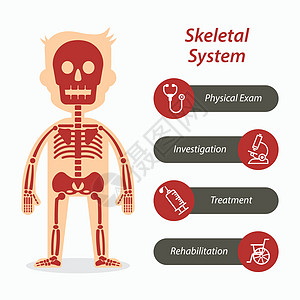 骨骼系统和医疗线图标图片