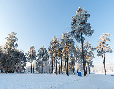阳光明媚的美丽的冬季森林太阳车道旅行天空场景蓝色季节大路暴风雪衬套图片