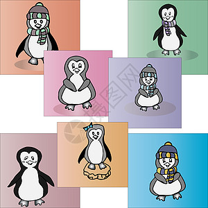 插图矢量企鹅 动物企鹅一套漫画荒野冻结哺乳动物围巾帽子卡通片团体问候语姿势图片