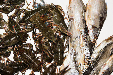 白底干鱼和活龙虾海鲜尾巴螃蟹小龙虾红色盐渍白色动物贝类甲壳图片