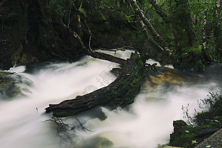 摇篮山Knyvet瀑布森林薄雾公园瀑布岩石环境风景旅游溪流荒野图片