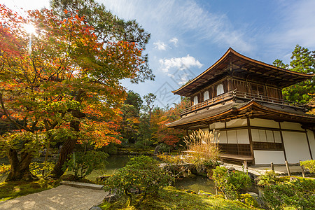 京都银角寺庙植被公园寺庙宗教地标森林光洋建筑池塘佛教徒图片