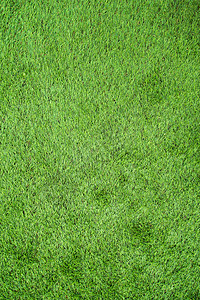 人造绿草娱乐休闲绿色草皮场地植物游戏足球地毯推杆图片