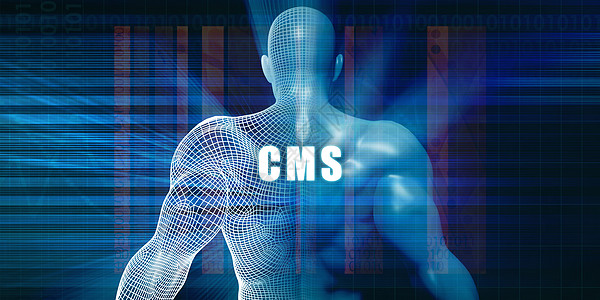 Cms 电闪图片