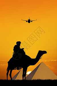 前往埃及旅行沙丘金字塔沙漠哺乳动物插图日落背景图片