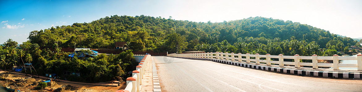 从印度 果阿桥桥到山顶的全景图片