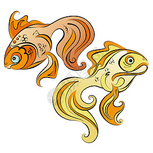 大眼睛的金鱼两条程式化的金鱼在白色背景上的插图欲望金子鳍状女性动物鲤鱼男性大眼睛游泳淡水背景