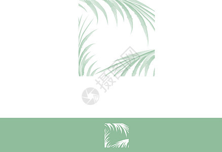 棕榈叶框架边界热带插图绿色叶子异国丛林植物水彩情调背景图片