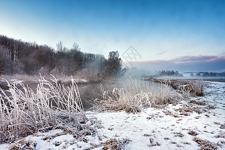 河边的冬雾清晨 乡下雾和霜月亮阳光天空草地薄雾灌木丛树木日出木头桦木图片