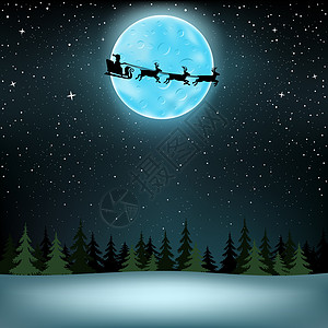 圣诞圣诞老人飞月木图片