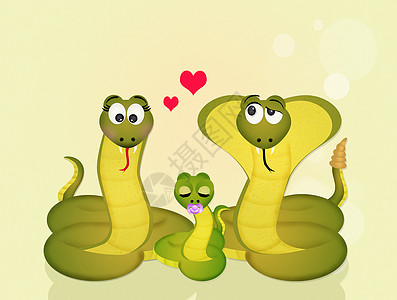 蛇的血族眼镜蛇儿子动物脊椎动物皮肤庆典婚礼婚姻摇铃插图图片