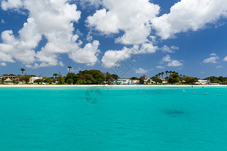 巴巴多斯Carlisle湾Catamaran的海滩景象情调太阳假期支撑企业天堂海洋旅行蓝色风景图片