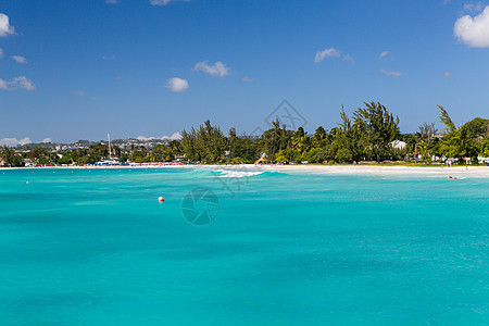 巴巴多斯Carlisle湾Catamaran的海滩景象企业风景蓝色热带天堂异国双体海岸线手掌海浪图片