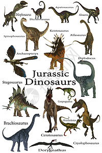 Jurassic 恐龙图片
