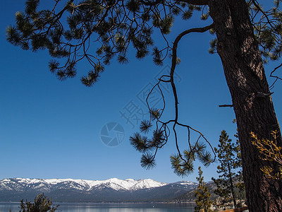 沙滩野餐Tahoe湖景观港口海滩石头场景岩石天空风景山脉空气旅行背景