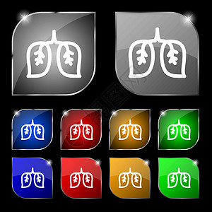 肺图标标志 套与强光的十个五颜六色的按钮 韦克托技术呼吸植物插图艺术生物器官解决方案解剖学生态图片