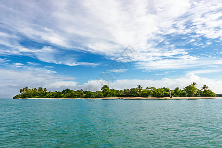 多巴哥西印度群岛热带岛屿无芒人土地的全景假期无人区棕榈椰子旅游海洋异国旅行情调海岸图片