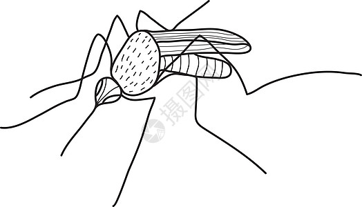 蚊子素描手绘涂鸦风格 它制作图案矢量图片